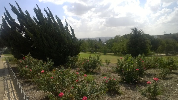 Beautiful Scene at the Jerusalem Rose Garden