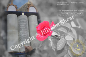 Photograph depicting God, Torah and Jewish People as One