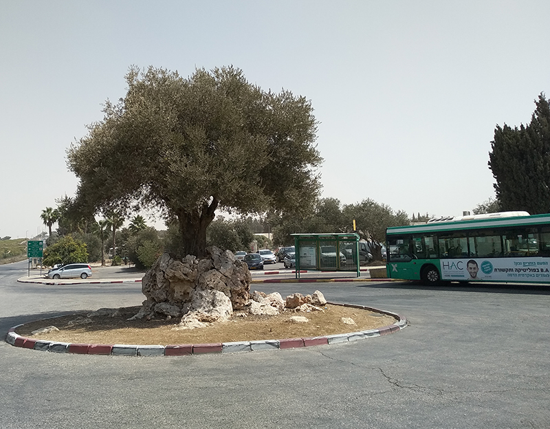 Arriving at Ramat Rachel by Bus